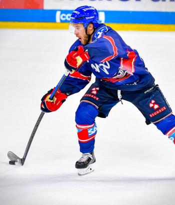 Adler Mannheim Stimmen DEG5
