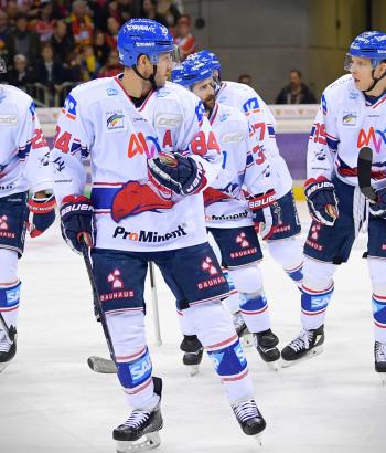 Adler Mannheim Stimmen DEG6