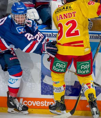Adler Mannheim Stimmen DEG
