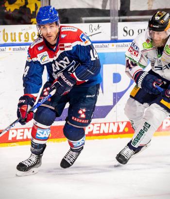 Adler Mannheim Stimmen EBB10