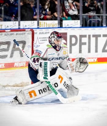 Adler Mannheim Stimmen EBB11
