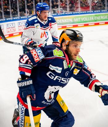Adler Mannheim Stimmen EBB15
