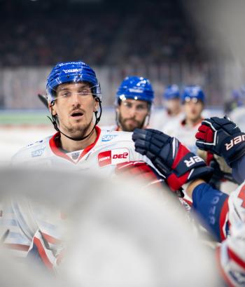 Adler Mannheim Stimmen EBB16