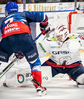 Adler Mannheim Stimmen EBB18