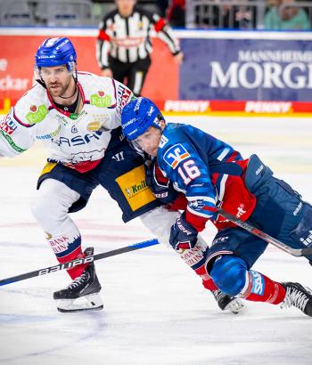 Adler Mannheim Stimmen EBB19