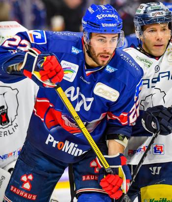 Adler Mannheim Stimmen EBB3