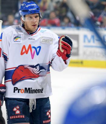 Adler Mannheim Stimmen EBB4