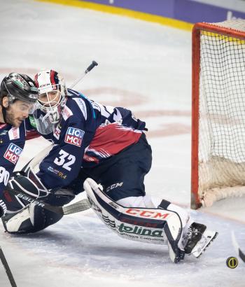 Adler Mannheim Stimmen EBB6