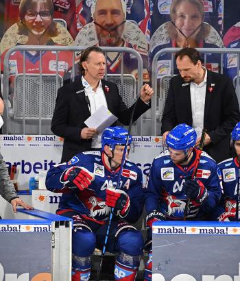 Adler Mannheim Stimmen EBB7