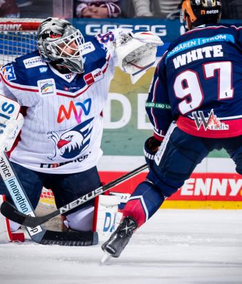 Adler Mannheim Stimmen EBB9