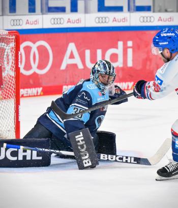 Adler Mannheim Stimmen ERC3