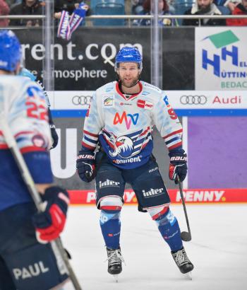 Adler Mannheim Stimmen ERCI6