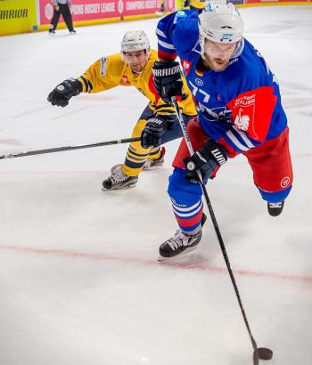 Adler Mannheim Stimmen ESB
