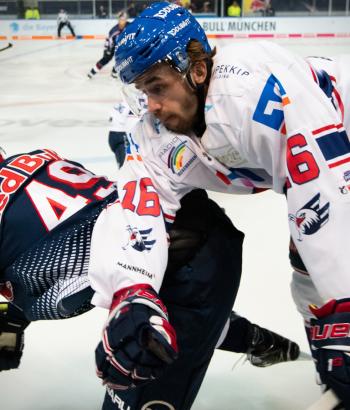 Adler Mannheim Stimmen F2