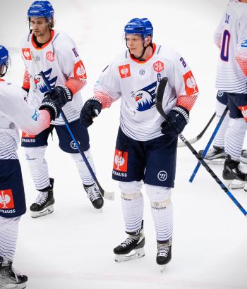 Adler Mannheim Stimmen FHC2