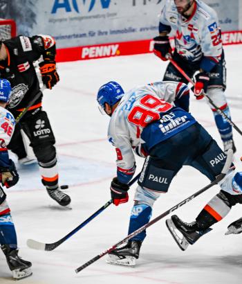 Adler Mannheim Stimmen FRA2
