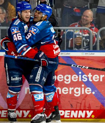 Adler Mannheim Stimmen FRA3
