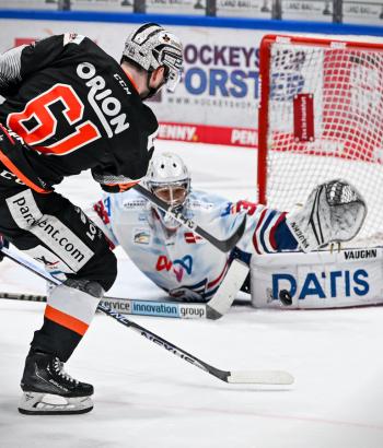 Adler Mannheim Stimmen FRA4