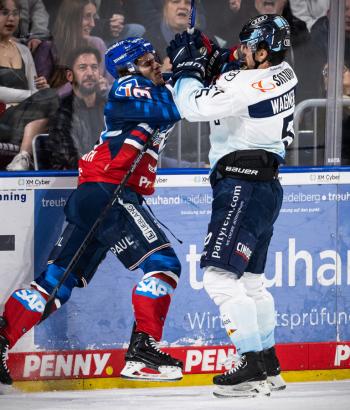 Adler Mannheim Stimmen HF12