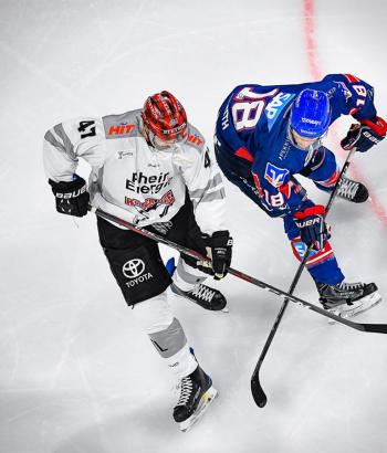 Adler Mannheim Stimmen HF5