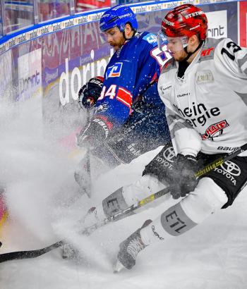 Adler Mannheim Stimmen HF6
