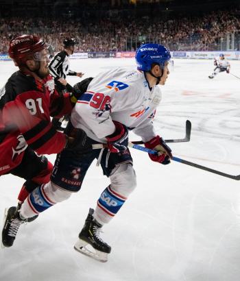 Adler Mannheim Stimmen HF7