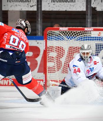 Adler Mannheim Stimmen IEC12