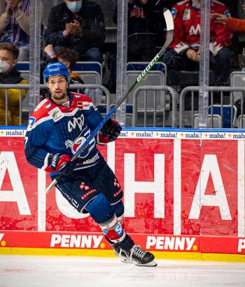 Adler Mannheim Stimmen IEC13