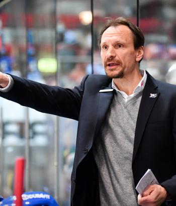 Adler Mannheim Stimmen IEC15
