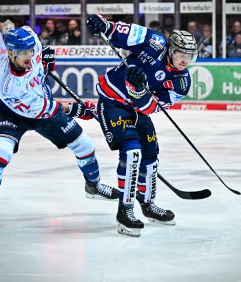 Adler Mannheim Stimmen IEC17