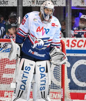 Adler Mannheim Stimmen IEC18