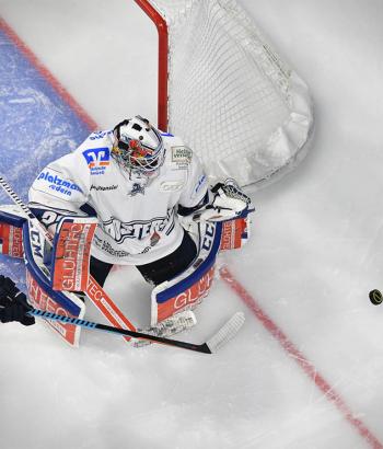 Adler Mannheim Stimmen IEC5