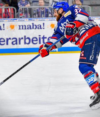 Adler Mannheim Stimmen IEC9