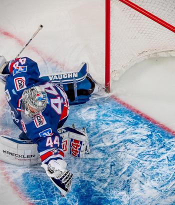 Adler Mannheim Stimmen ING3