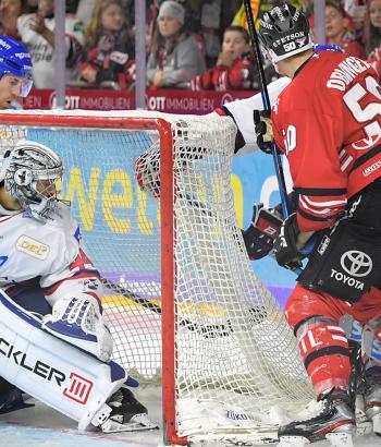 Adler Mannheim Stimmen KEC11