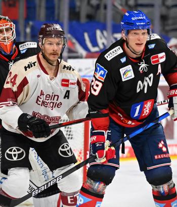 Adler Mannheim Stimmen KEC13