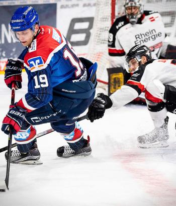 Adler Mannheim Stimmen KEC15