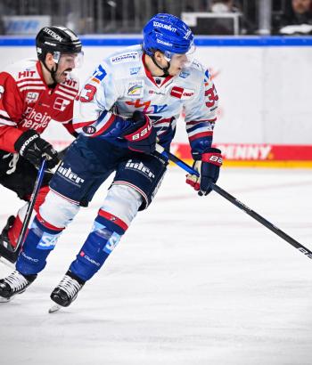 Adler Mannheim Stimmen KEC18