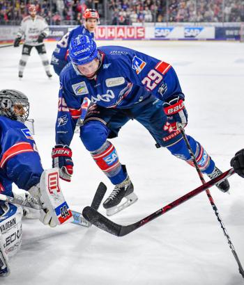 Adler Mannheim Stimmen KEC6