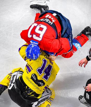Adler Mannheim Stimmen KEV8