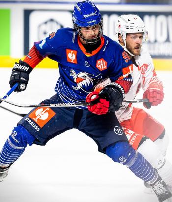 Adler Mannheim Stimmen LAU