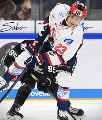 Adler Mannheim Stimmen NIT10