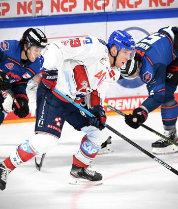 Adler Mannheim Stimmen NIT13