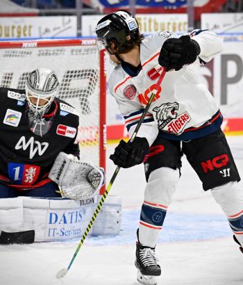 Adler Mannheim Stimmen NIT14
