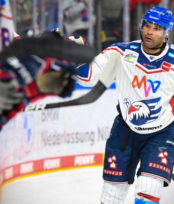 Adler Mannheim Stimmen NIT17