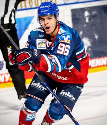 Adler Mannheim Stimmen NIT18