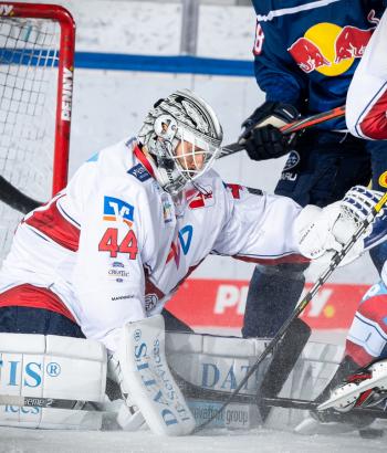 Adler Mannheim Stimmen RBM11