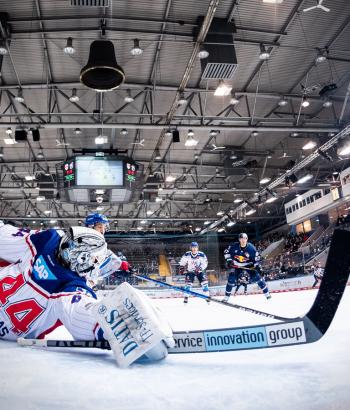 Adler Mannheim Stimmen RBM15