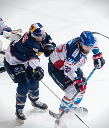 Adler Mannheim Stimmen RBM17