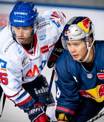 Adler Mannheim Stimmen RBM20